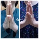 한국리바이탈 | 에임라이프 리바이탈 RX 메이신 지금 주목해야 하는 이유