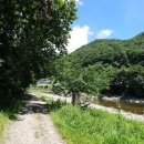 성진부동산앞 이미지