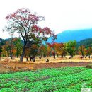 춘하추동 이미지