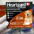 금릉곰돌이약국 이미지