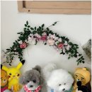 멍케이크 이미지