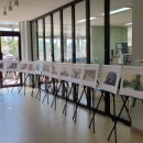 오산초등학교 이미지