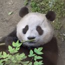 중국비자센터 이미지