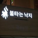 불타는낙지 이미지
