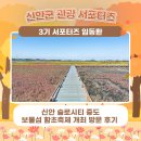 증도 관광안내소 | 🌿 신안 슬로시티 증도 보물섬 함초축제 개최 방문 후기