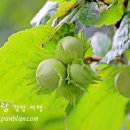 우리둘이 이미지