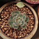 해아리농장 이미지