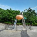금병공원 유아숲체험원 이미지