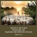 삼가-14 이미지