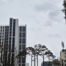 대명부동산중개 | 대명자이 사전점검 후기 46B타입