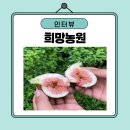 희망농장 | [인터뷰] <희망농원> 한금진