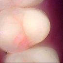 남산치과의원 이미지