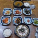 짱뚱이네식당 티스토리