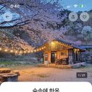 숲속에한옥 이미지