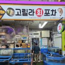 고릴라 회 포차 티스토리