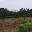 강정동-4 이미지