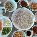 정자활어직매장B6 네이버블로그