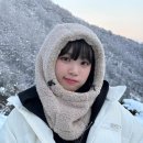 채원 이미지
