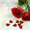 하하메디컬 이미지