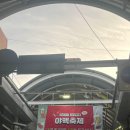 오산시청 광장 | 오산 야맥축제 2025 완벽 가이드: 처음 가는 사람도 즐기는 법