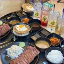 타마고 - 중구 | 타마고