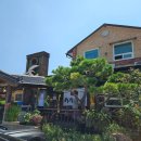 GR(울진군)-[불영계곡로]-상-4 | 울진 성류굴 맛집 게짜박이 이게대게 게짜글이 내돈내산 후기