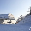 앨리'스