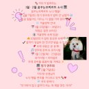 꿈꾸는모짜르트음악학원 네이버블로그