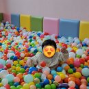 [경남 양산] 양산 자동차 키즈카페 차타타 양산점 실내놀이터 내돈내산 후기