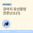 원종동물병원 이미지