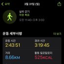 월평아왜낭목 이미지