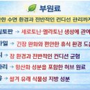 현대메디칼약국 이미지