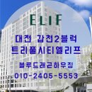 블루리프 | 대전 새집증후군 갑천2블럭 트리풀시티엘리프 시공 후기