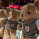 찬스게임랜드 이미지