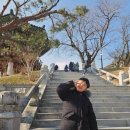 금강산수산횟집 | [강원고성]겨울 강원도여행 - 속초 중앙시장, 고성 금강산 화암사(ft.고성소노캄델피노/델피노 오션플레이)