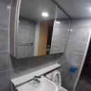 보우근화 이미지