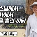 일감스님께서 화엄사에서 눈물을 흘린 까닭 [일감스님 만행] / 화엄사 각황전 이야기 이미지