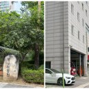 석촌상가 앞 횡단보도 이미지