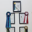 KIM PET SALON 이미지