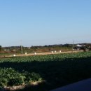 평풍농장 이미지