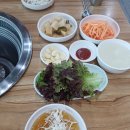 금수강산막국수숯불닭갈비