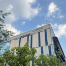 (공연) 캣츠 오리지널 내한공연1 | 뮤지컬 <위키드> 오리지널 내한공연 후기 / 블루스퀘어 신한카드홀 1층 8열