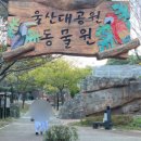 동천초교병설 이미지