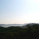 마금목장 Daum카페