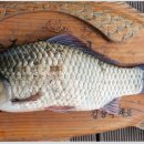 제일낚시터 이미지