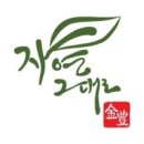 자연잎수제담배