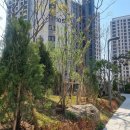 자이공인중개사사무소 이미지