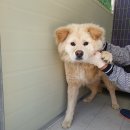 인덕초등학교 이미지