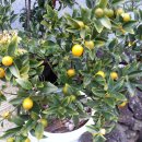 여유펜션 이미지