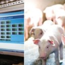 풍일농장 이미지